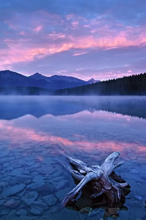 Framed Print : drfitwood and pink clouds reflected in calm waters of Patricia Lake at dawn, Jasper National Park, Alberta, Canada Framed Print : drfitwood and pink clouds reflected in calm waters of Patricia Lake at dawn, Jasper National Park, Alberta, Canada