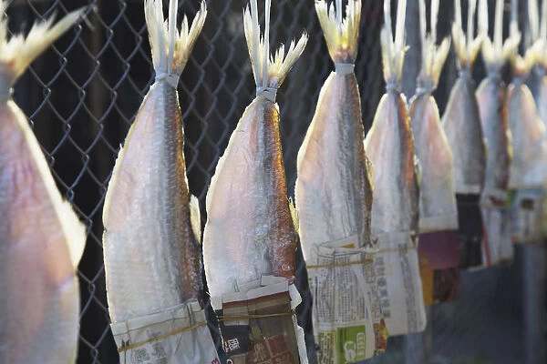 Dried fish hanging in fishing village, Ma Wan, Hong Kong, China