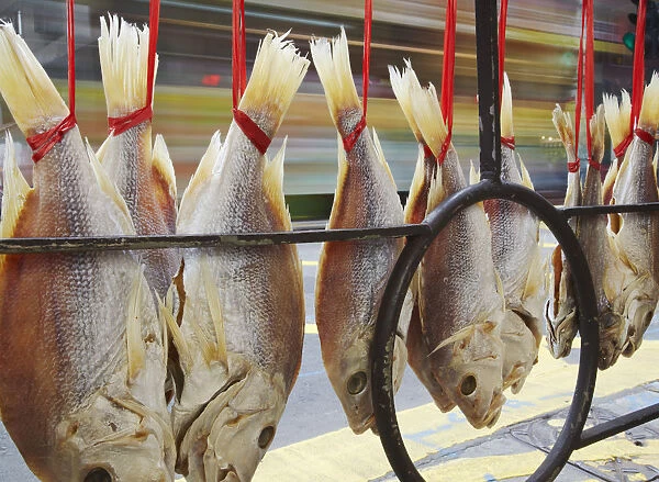 Dried fish hanging on street railing, Des Voeux Road West, Sheung Wan, Hong Kong, China