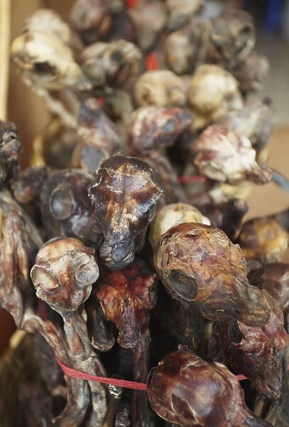 Dried llama foetuses in Witches Market, La Paz, Bolivia