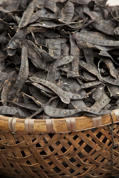 Dried seed pods from the Delonix regia tree, Old Quarter, Hanoi, Vietnam