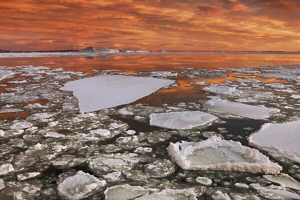 Drift ice - Antarctica, Antarctic Peninsula, Snowhill Island