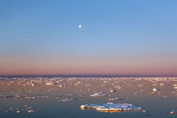 Drift ice and moon - Greenland, Northeast Greenland National Park, Gael Hamkes Bay
