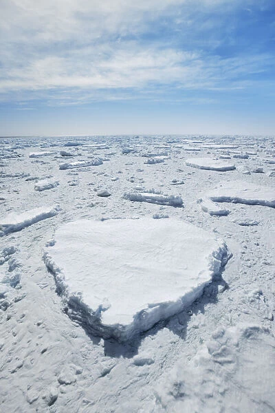 Drift ice in Weddell Sea - Antarctica, Weddell Sea, between Peninsula and Antarctica