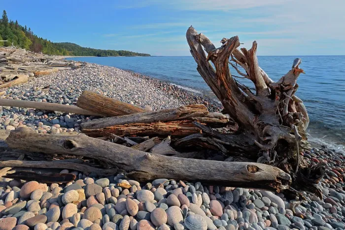 Framed Print : Driftwood along Pebble Beach on Lake Superior Marathon, Ontario, Canada Framed Print : Driftwood along Pebble Beach on Lake Superior Marathon, Ontario, Canada