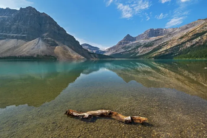 Framed Print : Driftwood and Reflection in Bow Lake. Icefields Parkway. Banff National Park, Alberta, Canada