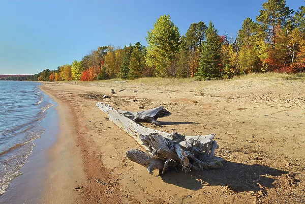Driftwood on sandy shoreline of Lake Superior Batchawana Bay Provincial Park Ontario, Canada