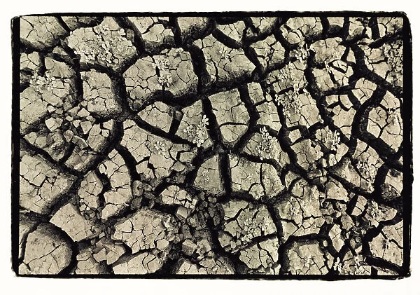 Dry, cracked, parched earth in South Luangwa Valley National Park, Zambia