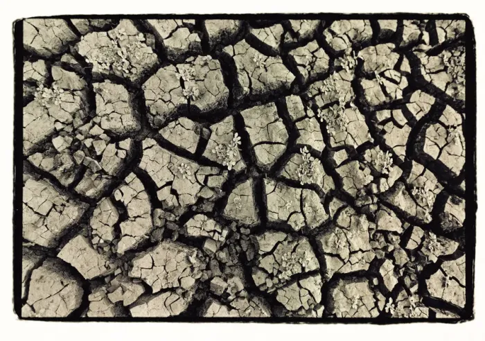 Framed Print : Dry, cracked, parched earth in South Luangwa Valley National Park, Zambia