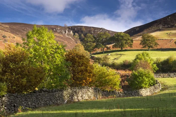 Framed Print : Dry stone wall bordered by autumnal trees, Lake District, Cumbria, England. Autumn Framed Print : Dry stone wall bordered by autumnal trees, Lake District, Cumbria, England. Autumn