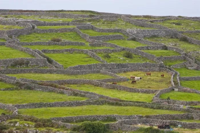 Framed Print : Dry Stone Walls, Inisheer, Aran Islands, Co. Galway, Ireland