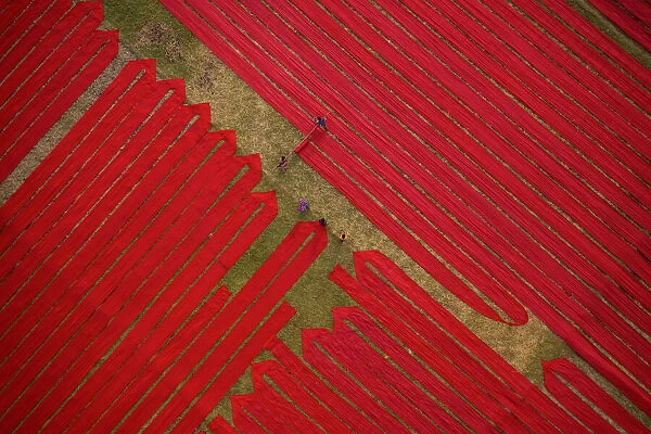 Drying red fabrics under sunlight, Narsingdi, Bangladesh