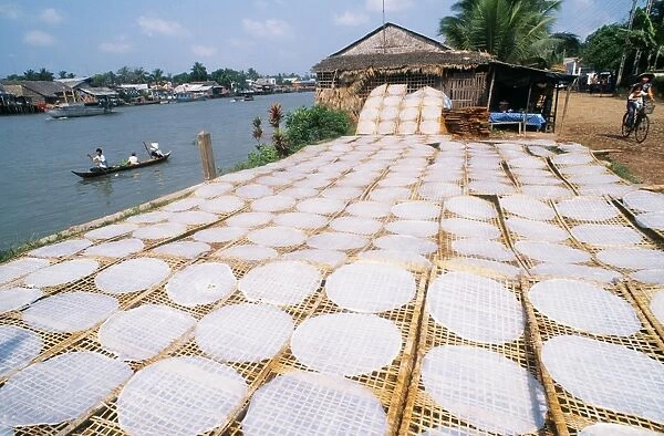 Drying rice noodles in the sun beside the Mekong River in Sa Dec