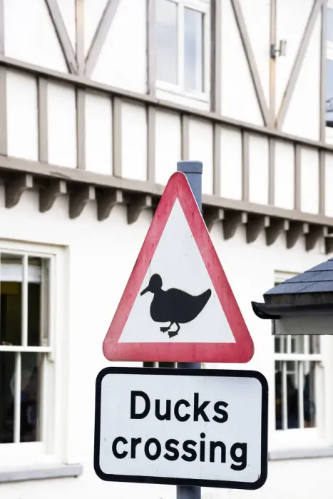 Framed Print : Ducks crossing road sign in the village of Symonds Yat, Herefordshire, UK