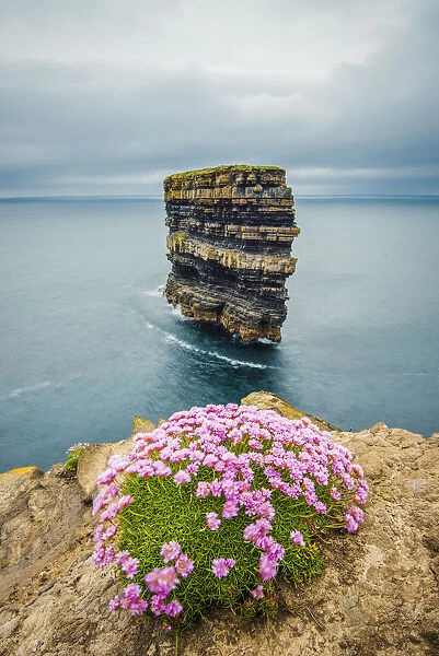 Dun Briste sea stack at Downpatrick Head, County Donegal, Ulster region, Republic of Ireland, Europe
