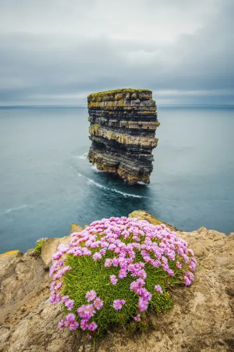 Framed Print : Dun Briste sea stack at Downpatrick Head, County Donegal, Ulster region, Republic of Ireland, Europe Framed Print : Dun Briste sea stack at Downpatrick Head, County Donegal, Ulster region, Republic of Ireland, Europe