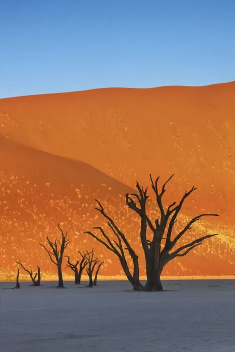 Framed Print : Dune impression with dead trees in Dead Vlei - Namibia, Hardap, Namib Framed Print : Dune impression with dead trees in Dead Vlei - Namibia, Hardap, Namib