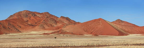 Dune impression in Namib - Namibia, Hardap, Namib, Tsauchab River - Namib Naukluft