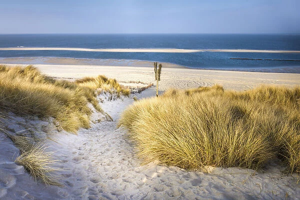 Dune landscape in the Ellenbogen nature reserve near List, Sylt, Schleswig-Holstein
