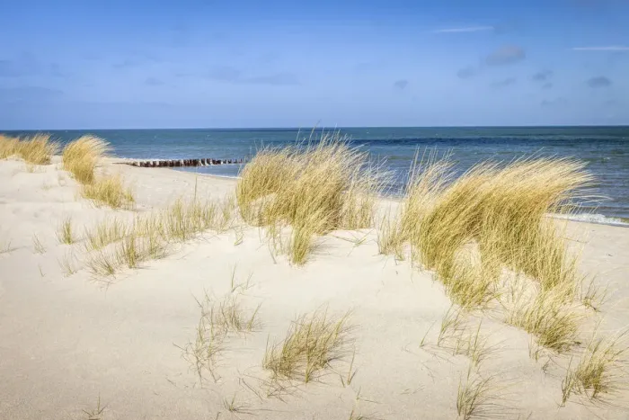 Framed Print : Dune landscape in the Ellenbogen nature reserve near List, Sylt, Schleswig-Holstein Framed Print : Dune landscape in the Ellenbogen nature reserve near List, Sylt, Schleswig-Holstein