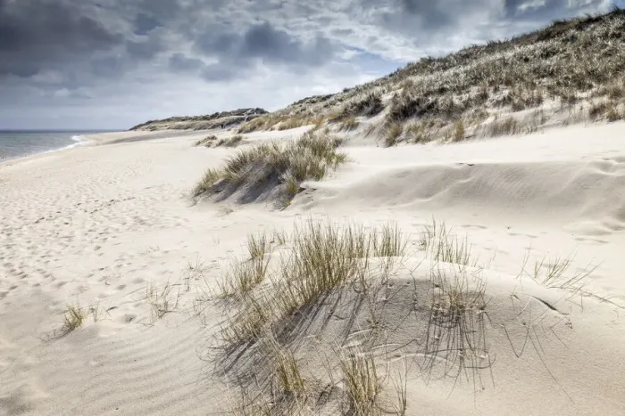 Framed Print : Dune landscape in the Ellenbogen nature reserve near List, Sylt, Schleswig-Holstein Framed Print : Dune landscape in the Ellenbogen nature reserve near List, Sylt, Schleswig-Holstein