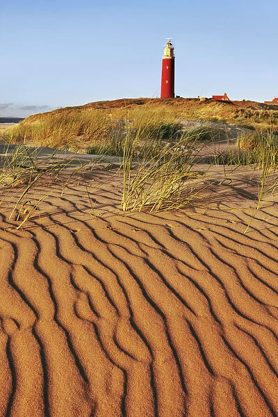 Dune landscape and lighthouse near De Cocksdorp - Netherlands, North Holland, Texel