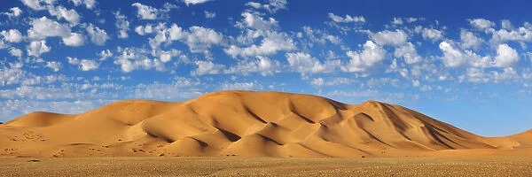 Dune landscape in Namib - Namibia, Hardap, Dorob National Park - Namib, Dorob