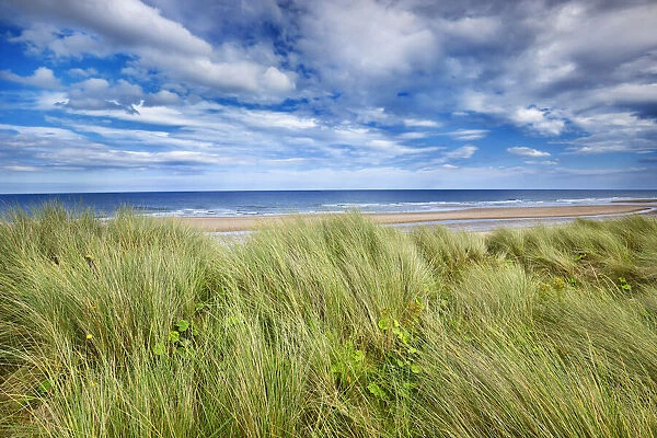 Dune landscape - United Kingdom, England, Northumberland, Druridge