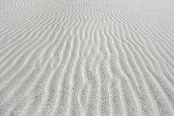 Dune structures in gypsum desert - USA, New Mexico, Otero, White Sands - Chihuahua Desert