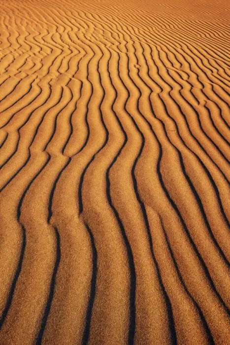 Framed Print : Dune structures - Namibia, Hardap, Namib, Sossus Vlei - Namib Naukluft National Park Framed Print : Dune structures - Namibia, Hardap, Namib, Sossus Vlei - Namib Naukluft National Park