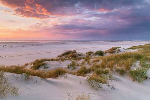 Dunes at Amrum Island, National Park Schleswig-Holsteinisches Wattenmeer, Amrum island, North Sea, North Friesland, Germany, Europe