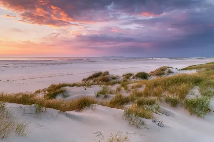Framed Print : Dunes at Amrum Island, National Park Schleswig-Holsteinisches Wattenmeer, Amrum island, North Sea, North Friesland, Germany, Europe Framed Print : Dunes at Amrum Island, National Park Schleswig-Holsteinisches Wattenmeer, Amrum island, North Sea, North Friesland, Germany, Europe