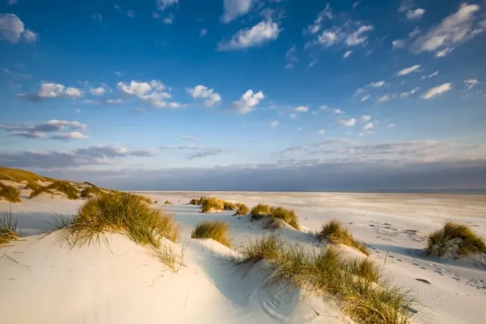Framed Print : Dunes, Amrum Island, Northern Frisia, Schleswig-Holstein, Germany Framed Print : Dunes, Amrum Island, Northern Frisia, Schleswig-Holstein, Germany