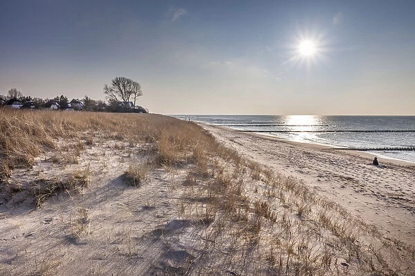 Dunes on the beach in Ahrenshoop, Mecklenburg-Western Pomerania, Northern Germany