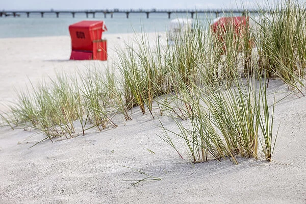 Dunes and beach chairs in Zingst, Mecklenburg-Western Pomerania, Northern Germany