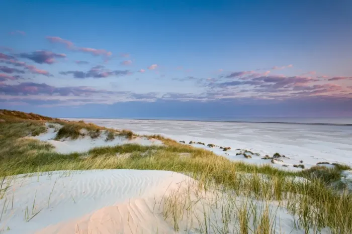 Framed Print : Dunes at dusk, Amrum Island, Northern Frisia, Schleswig-Holstein, Germany Framed Print : Dunes at dusk, Amrum Island, Northern Frisia, Schleswig-Holstein, Germany