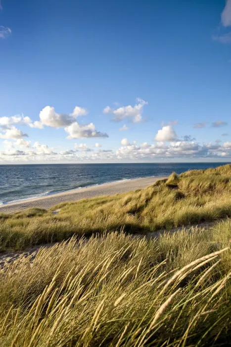 Framed Print : Dunes, List, Sylt Island, North Frisian Islands, Schleswig Holstein, Germany Framed Print : Dunes, List, Sylt Island, North Frisian Islands, Schleswig Holstein, Germany