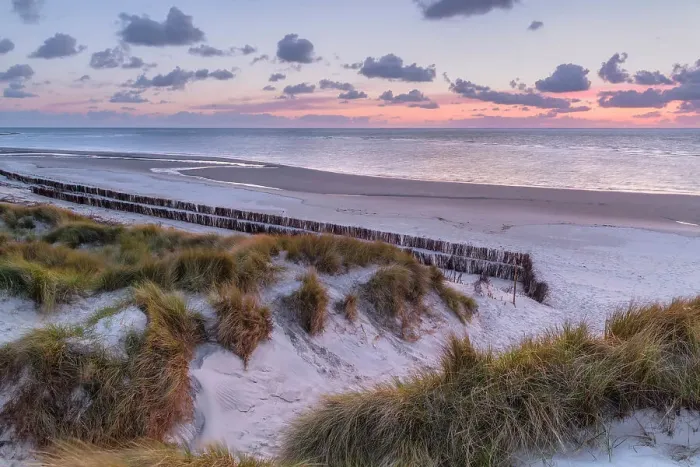 Framed Print : Dunes at National Park Schleswig-Holsteinisches Wattenmeer, Amrum island, North Sea, North Friesland, Germany, Europe Framed Print : Dunes at National Park Schleswig-Holsteinisches Wattenmeer, Amrum island, North Sea, North Friesland, Germany, Europe