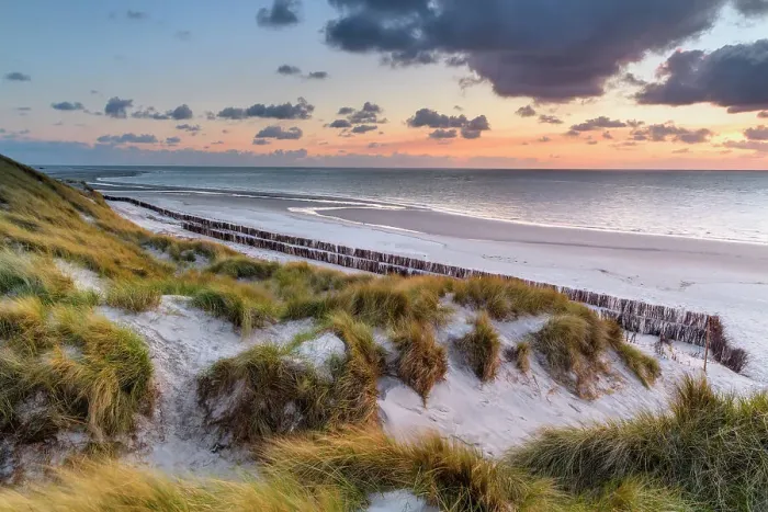 Framed Print : Dunes at National Park Schleswig-Holsteinisches Wattenmeer, Amrum island, North Sea, North Friesland, Germany, Europe Framed Print : Dunes at National Park Schleswig-Holsteinisches Wattenmeer, Amrum island, North Sea, North Friesland, Germany, Europe