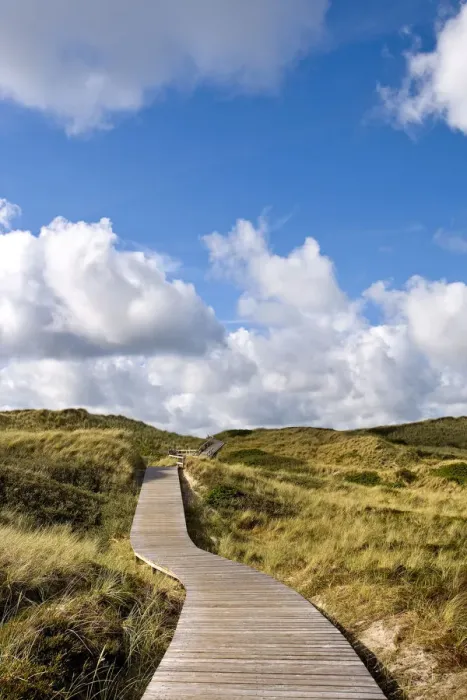 Framed Print : Dunes near Kampen, Sylt Island, North Frisian Islands, Schleswig Holstein, Germany Framed Print : Dunes near Kampen, Sylt Island, North Frisian Islands, Schleswig Holstein, Germany