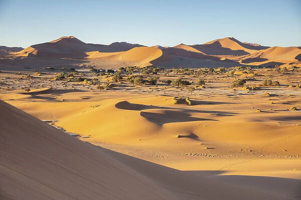 Dunes at Sossusvlei, Sossusvlei, Namibia