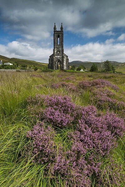 Dunlewey Church & Heather in Poisioned Glen, Dunlewy, County Donegal, Ireland