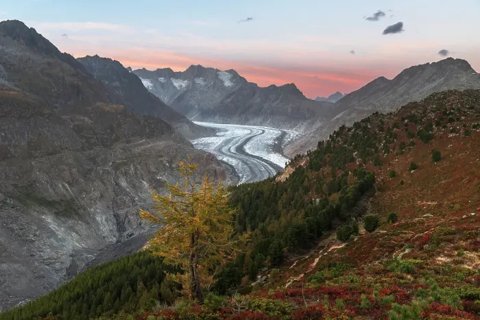Framed Print : Dusk above the Aletsch glacier seen from Hohfluh viewpoint, Riederalp, Bernese Alps, Valais canton, Switzerland Framed Print : Dusk above the Aletsch glacier seen from Hohfluh viewpoint, Riederalp, Bernese Alps, Valais canton, Switzerland