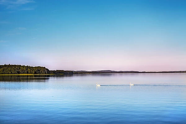Dusk, Selent lake, Holsteinische Schweiz, Baltic coast, Schleswig-Holstein, Germany