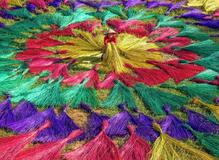 Framed Print : Dyed sedge for sleeping mats being laid out to dry in the sun, North Vietnam Framed Print : Dyed sedge for sleeping mats being laid out to dry in the sun, North Vietnam