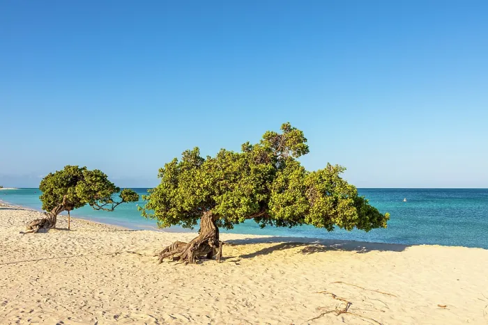 Framed Print : Eagle Beach, Oranjestad, Aruba Framed Print : Eagle Beach, Oranjestad, Aruba