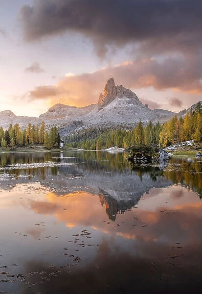 An early autumn morning along the shores of the Federa lake, one of the most incredible locations of the area to capture the larches typical autumn colors, with the Becco di Mezzodi mountain reflecting in it. Dolomites, Italy