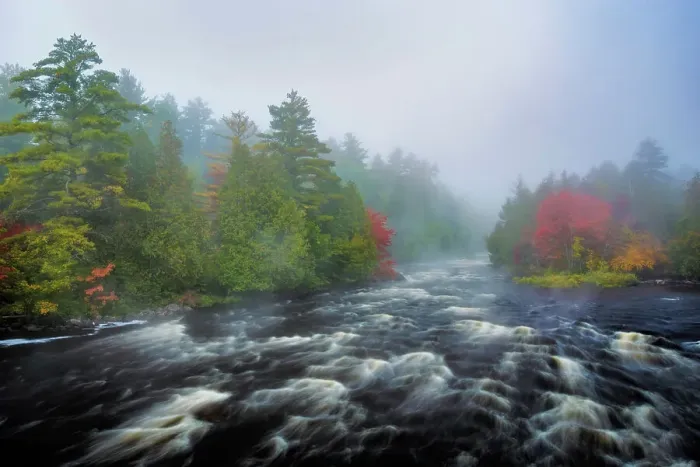 Framed Print : Early autumn on the Petawawa River in Algonquin Provincial Park, Ontario, Canada Framed Print : Early autumn on the Petawawa River in Algonquin Provincial Park, Ontario, Canada