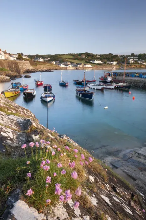 Framed Print : Early morning harbour scene at the picturesque fishing village of Coverack, South Framed Print : Early morning harbour scene at the picturesque fishing village of Coverack, South