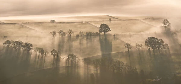 Early morning mist covered farmland, Lake District, Cumbria, England. Autumn (November)